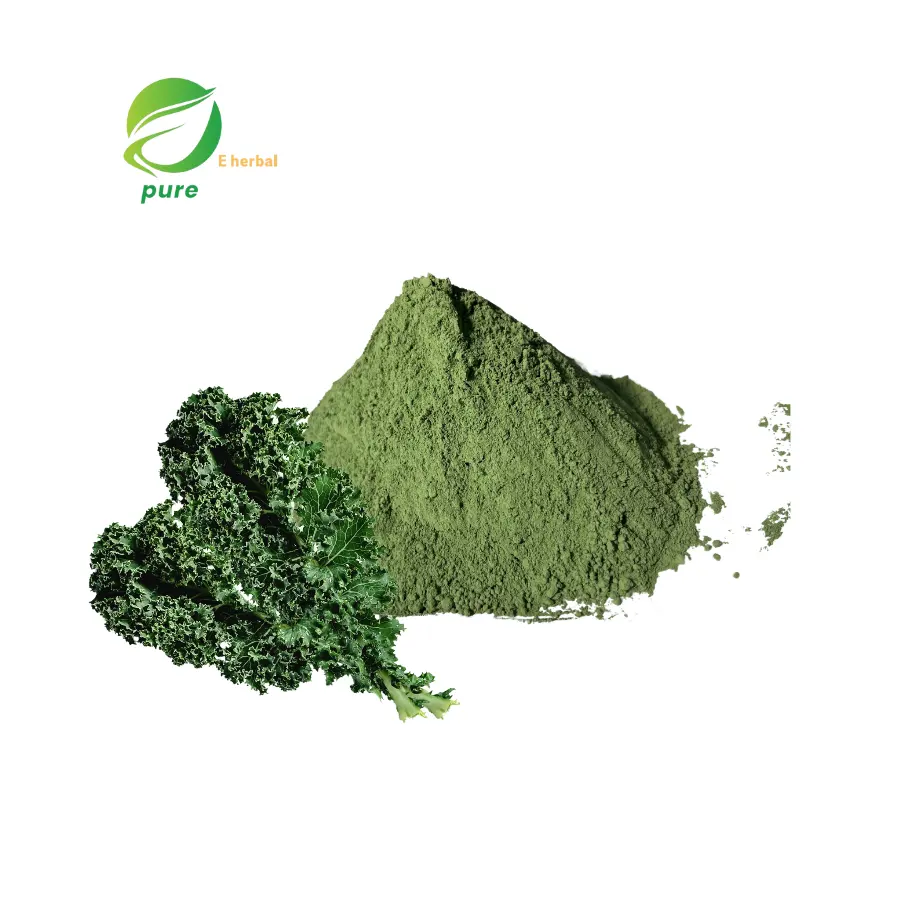 Hữu cơ cải xoăn bột tự nhiên bán buôn 100% tinh khiết chăm sóc sức khỏe nhà máy chiết xuất cấp thực phẩm không đường thảo dược bột màu xanh lá cây
