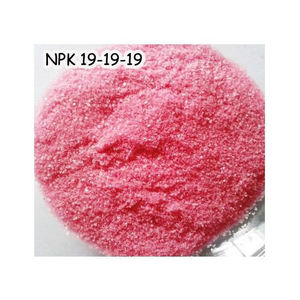 Fertilizante soluble en agua de alta calidad NPK 19-19-19 + TE - Product Image 6