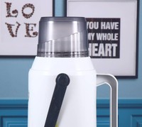 VF99 Chine Échantillon Gratuit Pas Cher Asie du Sud-Est Vente Chaude Bouteille Isotherme en Plastique pour Café, Thé et Eau 2L avec Intérieur en Verre