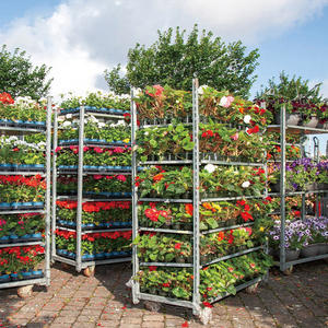 डैनिश स्टेनलेस स्टील चार पहिया ट्रॉली 600 किलोग्राम गर्म डुबकी गैल्वेनाइज्ड आउटडोर खेती फूल कार्ट प्लेटफॉर्म ओएम अनुकूलन योग्य - Product Image 5