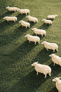 Alfombra Decorativa Rústica de Lana a Cuadros con Patrón Liso, Forma Rectangular, Antideslizante, Estilo Lujoso, Hecha a Mano, Alfombra Fossil Ember - Product Image 4