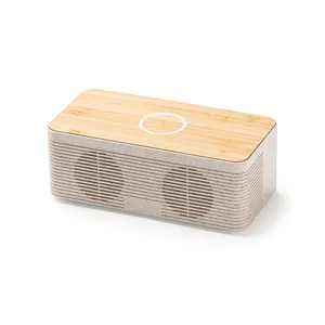ลำโพงไร้สายส่วนตัว Allai พร้อมพอร์ต USB สำหรับโปรโมชั่น - Product Image 1