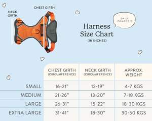 Nouveaux harnais pour chien imperméables de luxe gilet de chien de promenade réglable concepteur sans traction chien harnais pour animaux de compagnie rembourré doux - Product Image 6