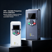 Variateur de fréquence industriel robuste à couple élevé pour pompe solaire, contrôle vectoriel, 4 kW, économie d'énergie, protection contre les surcharges pour convoyeur