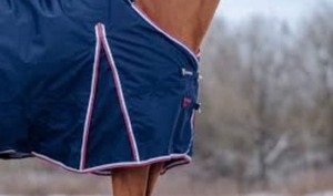 Couverture de tapis de cheval en coton polyester durable bleu marine Protection contre la pluie d'équitation imperméable et respirante toute l'année - Product Image 3