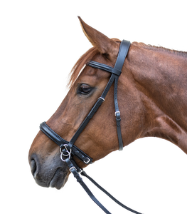 Bridon sans mors de style Scawbrig, sangles de nez et de cou en cuir rembourrées, harnais sans mors durable et confortable - Product Image 2