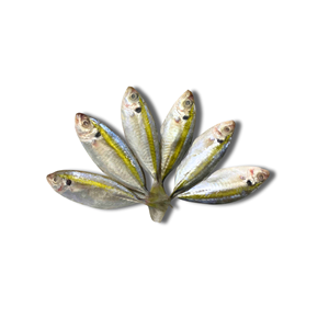 Poisson de mer Trevally à rayures jaunes entier congelé en vrac IQF/BQF Longue durée de conservation Produit d'exportation de produits de la mer du Vietnam - Product Image 2