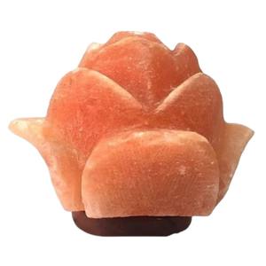 Meilleure lampe de sel rose en forme de rose pour le soutien de l'asthme-Purification de l'air efficace par-Sian Enterprises - Product Image 4