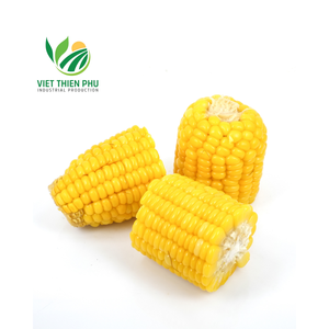 OFERTA CALIENTE MAÍZ CONGELADO DE ALTA CALIDAD, 100% NATURAL DE VIETNAM - Product Image 6