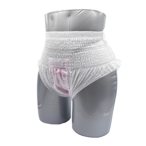 Ropa Interior Absorbente para Mujeres, Bragas Menstruales Desechables para la Noche, Proveedor - Product Image 1