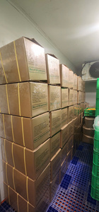 เวียดนามชิ้นสับปะรดแช่แข็งผลไม้ฉ่ำและอร่อยเกรดพรีเมี่ยมสำหรับขนมสมูทตี้และจำนวนมาก - Product Image 3