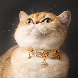 Colli di cristallo giranti 3D per cani e gatti, collari di lusso per gatti, prodotti unici per animali domestici, collari per cani e guinzaglio - Product Image 1