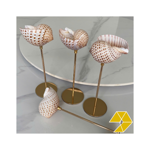 Verres à vin de coquillage uniques gobelets de coquille faits à la main artistique décoration parfaite cadeau de mariage affichage de célébration de fête à manger - Product Image 5