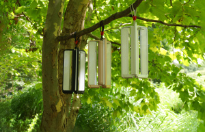 Chất lượng bậc nhất hexar loạt 2700K mềm ấm trắng dẫn cắm trại đèn lồng đèn mức giá tuyệt vời - Product Image 6