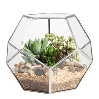 Terrarium en verre avec cadre en métal argenté élégant, style Art Déco, fait main, écologique, durable, décoration de mariage, décoration de la maison, vase de table pour plantes succulentes