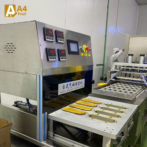 ทุเรียนม่วงคุณภาพพรีเมียม ระดับท็อป แช่แข็งแบบ LQF ออร์แกนิค ผลิตในไทย บรรจุภัณฑ์สุญญากาศ รสชาติเข้มข้น เหมือนกล้วย - Product Image 2