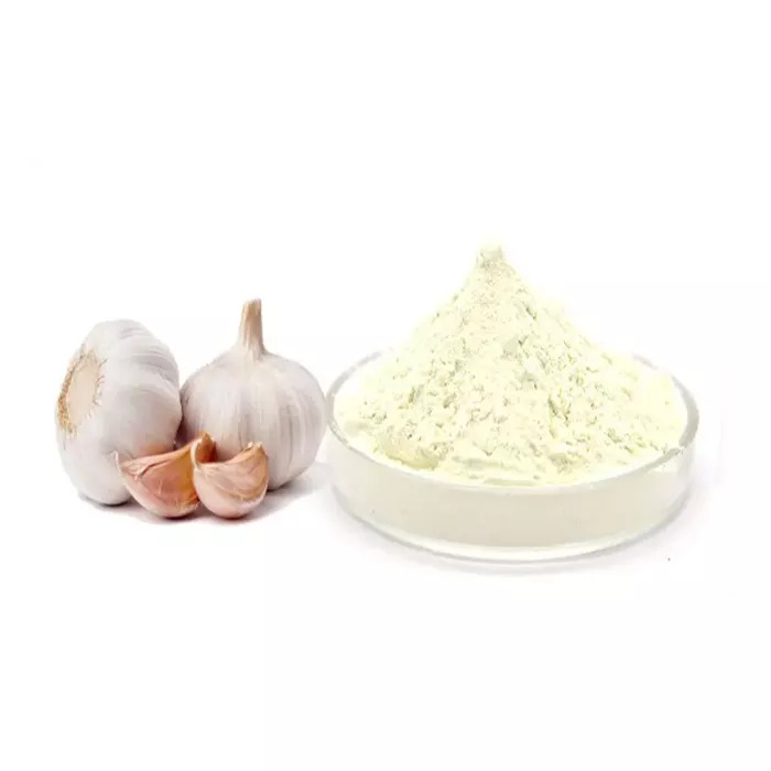 Bulk Quantity Manufacturer of High Quality 100% Pure and Natural Garlic Extract Powder at Wholesale Price