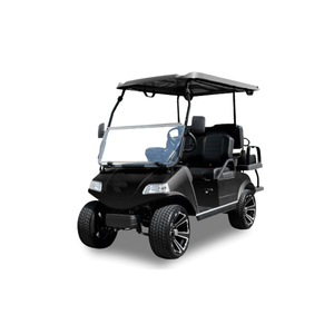 Voitures de golf électriques écologiques pour les terrains de golf et les complexes hôteliers - Product Image 5