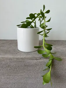 Palos de jardín de cobre puro 100% de calidad superior con perla para soporte de plantas ecológico y decoración de jardín de larga duración - Product Image 4