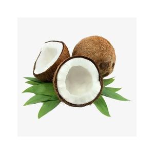Venta caliente Aceite de coco puro prensado en frío 100% Aceite de coco orgánico puro a granel Precio al por mayor - Product Image 4