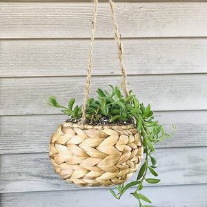 Pots suspendus écologiques en jacinthe d'eau, jardinières à prix avantageux, vente en gros de jardinières - Product Image 1