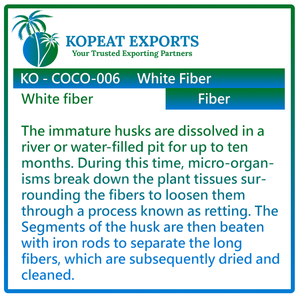 ร้อนขายสินค้าอินทรีย์ขนแปรงไฟเบอร์ Coir 100% ธรรมชาติอินทรีย์มะพร้าวเส้นใยสีขาวในราคาที่เหมาะสมสำหรับอย่างกว้างขวางที่มีอยู่ - Product Image 3
