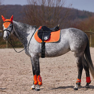 Bottes de tendon de cheval confortables avec un ajustement sûr pour l'entraînement et la performance Bottes de soutien de tendon de cheval avec protection contre les chocs - Product Image 2