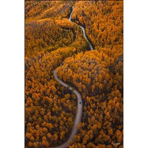 Impression sur toile Fida Orange Autumn Forest Winding Road - Product Image 6
