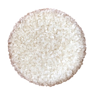 Japonica ข้าวทรงกลม GMO koshibikari ซูชิข้าวเวียดนามแบบสั้นตากแห้งยาวโรงงานชื่ออื่นๆ Riz- WS: + 84-915355383 - Product Image 1
