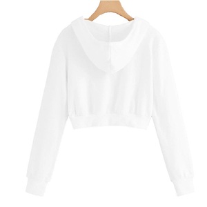 Sudaderas cortas de invierno Fashionfit para mujer, sudaderas de poliéster de lana a la moda, ropa de calle con diseño de logotipo forrado para otoño - Product Image 2