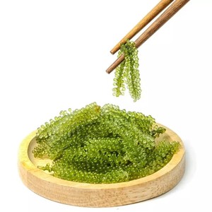 องุ่นทะเล-องุ่นทะเลแห้ง/สาหร่ายทะเลเค็มองุ่นทะเลธรรมชาติแสนอร่อยจำนวนมากสำหรับเครื่องสำอาง - Product Image 5