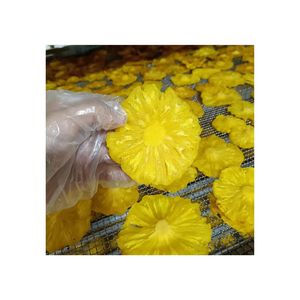 2025 Available Stock Dried Pineapple Rings and Sliced Salted Spicy Snacks Fabulous <b>Food</b> Dehydrator Bulk Sale - Product Image 4