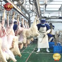 Ligne d'abattage de chèvres et de moutons certifiée CE ISO Halal, machines d'abattage, machine à découper les agneaux, usine de transformation du mouton