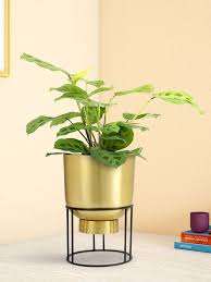 Bañera de lavado de Metal galvanizado con tema elegante con grifo, contenedores de pared, maceta colgante de granja, diseño único - Product Image 4