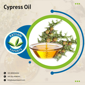 Ot-Ell Lant Xtract atatural ypress ssential Il herherapeutic ade Rade ypress Il uy ROM Ndian upplier - Product Image 2