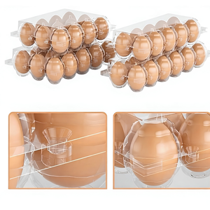 HEVDEM - Cartones Transparentes Desechables para Huevos de PET con 12 Cavidades, 2x6 Orificios, Embalaje para Supermercados con Impresión Personalizada, Hechos en Hebei - Product Image 4