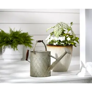 Antique Galvanized Metal Water <b>Cane</b> Simple Iron <b>Garden</b> Jugs for Low Rate Watering Can - Product Image 3