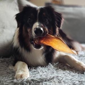 Masticables para perros con orejas de búfalo de agua natural empaquetados a medida, golosinas para orejas de vaca de alta calidad ecológicas - Product Image 1