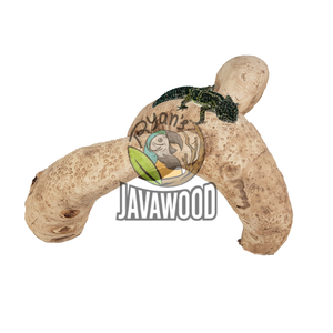 Gimnasio Jungle de Raíz de Bambú de Indonesia para Reptiles Pequeños Hecho de Madera Sostenible a Precio Asequible - Product Image 3