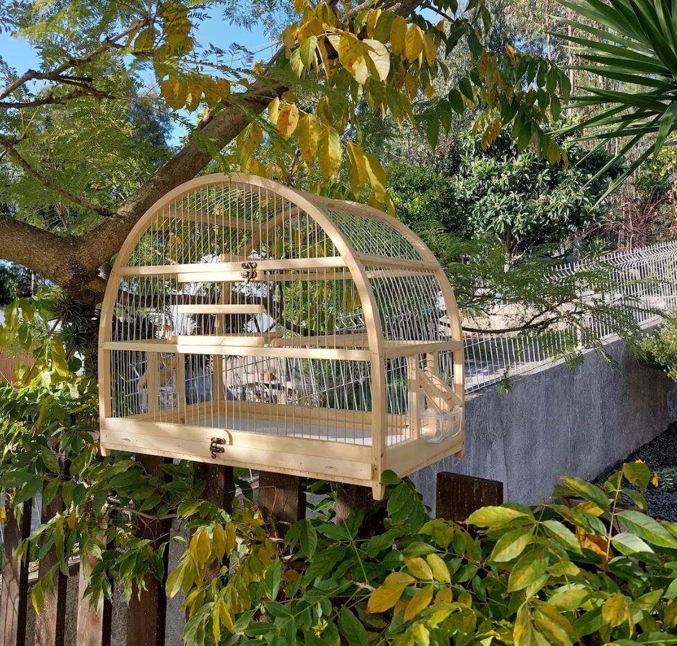 ธรรมชาติ