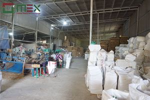 GMEX Vietnam Vente en gros Usine Exportateur Bâtonnets de bambou de haute qualité pour usage religieux Toutes tailles Diffuseur d'encens au meilleur prix - Product Image 6