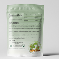 Thé Premium Curcuma Gingembre Cannelle pour la Santé Articulaire, Digestive et Immunitaire, Infusion Naturelle à Base de Plantes, 50 Sachets de Thé pour OEM