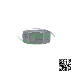 Tuerca Hexagonal Original OEM para Controladores de Motor MWM RS-01181415, Componente Esencial - Product Image 6
