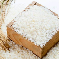 Riz Jasmin ST25 à Grains Longs de Haute Qualité du Vietnam – Vente en Gros de Riz Brun Noir Parboiled Parfumé pour la Cuisson