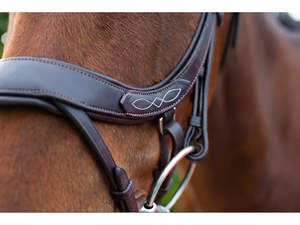 Horse Freedom Comfort Brida con Flash-Cuero Negro Tamaño Cob - Product Image 4