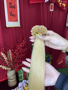 Extensions de cheveux vietnamiennes Remy vierges à double tirage, très vendues, prix d'usine, vente en gros d'extensions de cheveux U Tip - Product Image 2