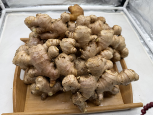 Raíz de jengibre fresca de alta calidad |   Exportación a granel de la granja al mercado - Product Image 2