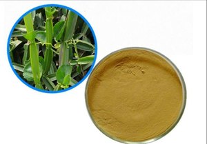 Pure Cissus Quadrangularis Hadjod Poudre à base de plantes Supplément de soutien osseux naturel Remède ayurvédique traditionnel pour la santé des articulations - Product Image 6