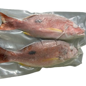Pescado Pargo Rojo Congelado IQF de Vietnam, Venta al por Mayor a Granel, Proveedor de Pescado Marino Entero de Alta Calidad - Product Image 2