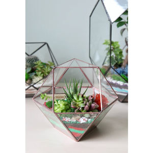 Terrario geométrico Vidrio transparente Latón Borde pesado Acabado en negro Tamaño personalizado Hogar Oficina Decoración de mesa Mini jardín - Product Image 3